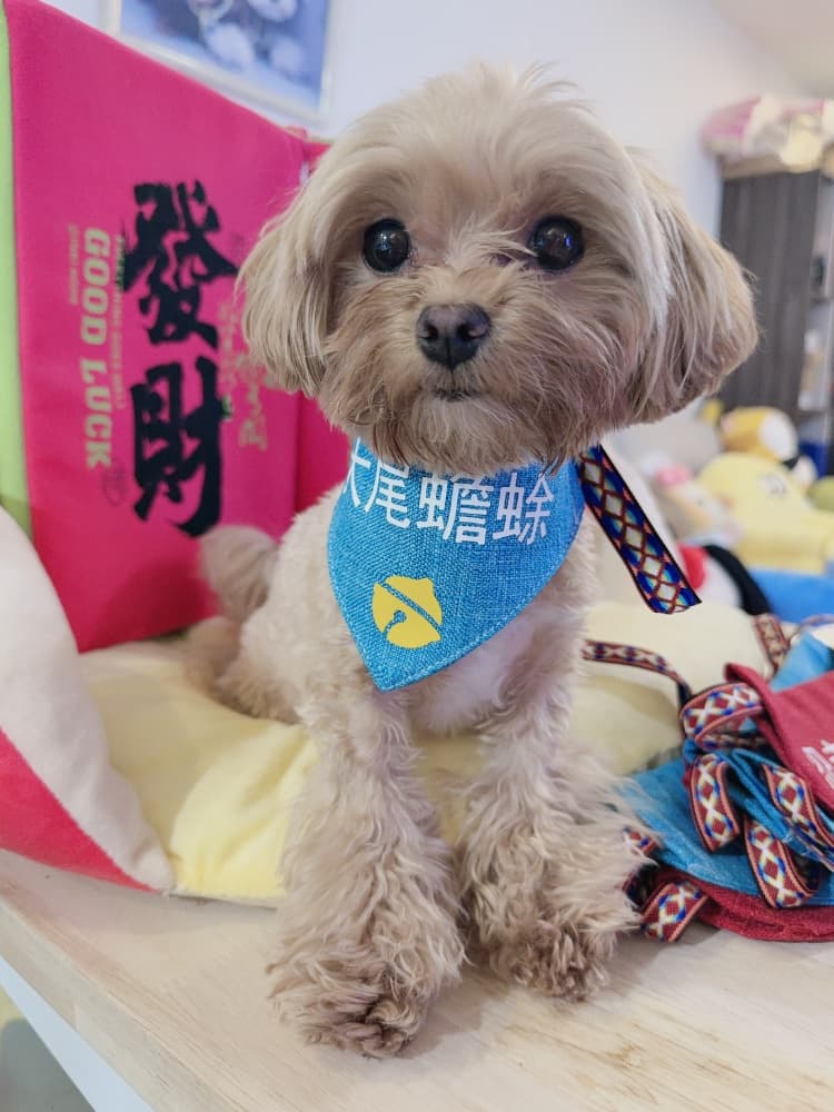 補差價專用